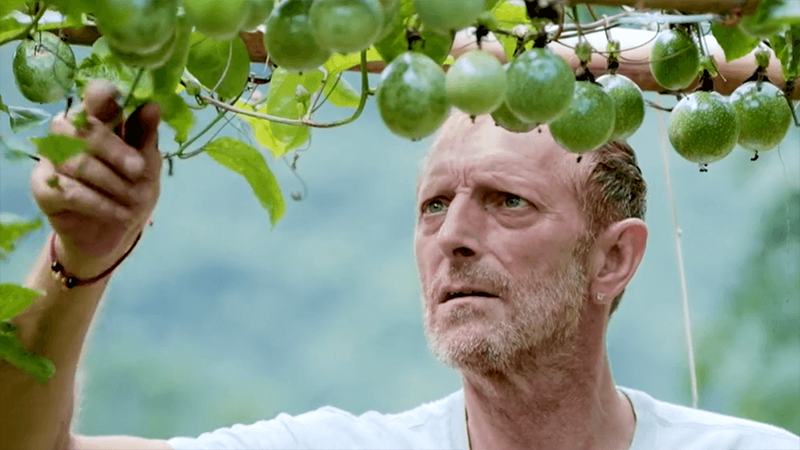 大山里的最佳拍檔