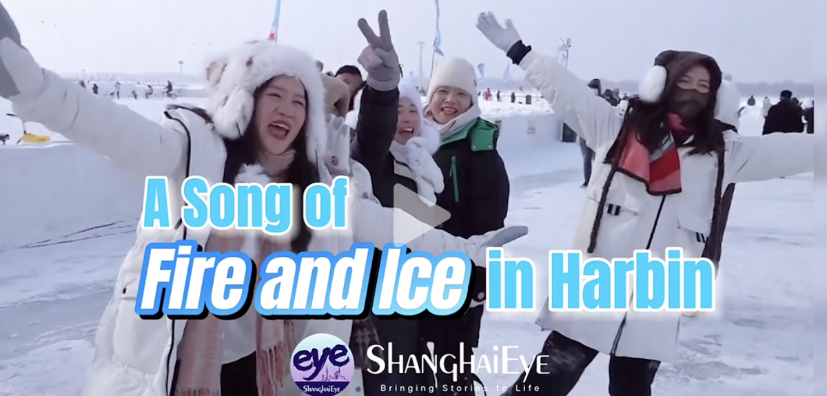 “冰城”哈爾濱為何在這個冬天如此“火熱”?